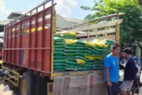Penyaluran bantuan beras di Lombok Timur.