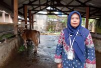 drh. Vidia Fibriyanti, Kepala UPTD Rumah Potong Hewan (RPH) dan Pasar Hewan Dinas Pertanian Kota Mataram