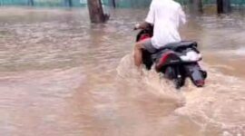 
Banjir bandang menerjang pemukiman warga Desa Persiapan Pengantap, Kecamatan Sekotong, Minggu sore lalu.