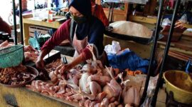 Salah seorang pedagang daging ayam di pasar Kota Sumbawa