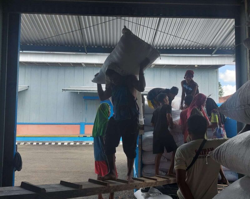 Beberapa pekerja sedang menurunkan jagung daru atas truk di Gudang Bulog. Atas anjloknya harga jagung, Bulog Bima turut melakukan upaya membantu pemerintah dalam mensatbilkan harga jagung di tingkat petani. (Foto Dok Bulog Bima)