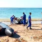 Anggota Polres Lombok Tengah bersama Polairud Polda NTB saat melakukan pencarian terhadap dokter Wisnu yang hilang ditelan ombak saat mancing di Pantai Lancing, Kecamatan Praya Barat, Sabtu (27/04/2024) ANTARA/HO-Humas Polres Lombok Tengah.