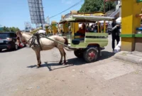 Ilustrasi: Cidomo, alat transportasi tradisional lokal di Pulau Lombok, Provinsi Nusa Tenggara Barat, sedang menunggu penumpang di Pasar Kebon Roek Kota Mataram. (ANTARA/Nirkomala)