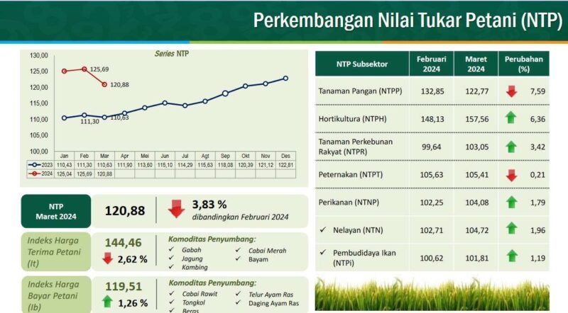 Foto: screenshot NTP NTB Maret 2024/bps.ntb