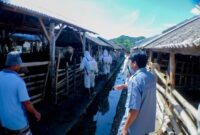 Petugas kesehatan hewan saat melakukan penyemprotan disinfektan di salah satu kandang kolektif yang ada di Lombok Barat