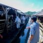 Petugas kesehatan hewan saat melakukan penyemprotan disinfektan di salah satu kandang kolektif yang ada di Lombok Barat