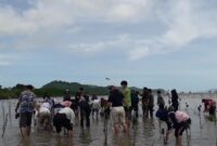 Penanaman mangrove oleh mahasiswa Universitas Mataram dan UIN Mataram, 2021, di Bagek Kembar, Lembar Selatan, Lombok Barat.