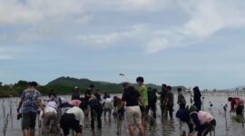 Penanaman mangrove oleh mahasiswa Universitas Mataram dan UIN Mataram, 2021, di Bagek Kembar, Lembar Selatan, Lombok Barat.