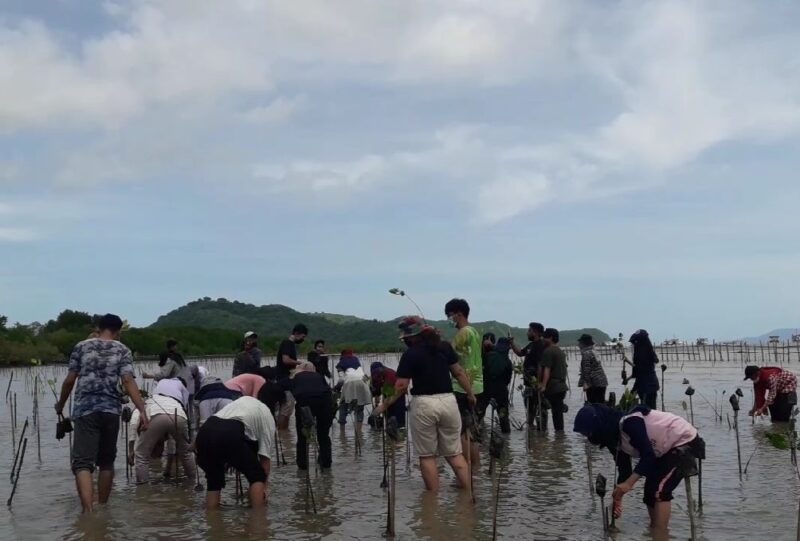 Penanaman mangrove oleh mahasiswa Universitas Mataram dan UIN Mataram, 2021, di Bagek Kembar, Lembar Selatan, Lombok Barat.