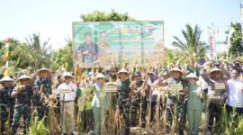 Panglima Komando Daerah Militer (Pangdam) IX/Udayana, Mayor Jenderal TNI Bambang Trisnohadi, memimpin panen raya jagung bersama kelompok tani Pade Angen di Desa Gunung Malang, Lombok Timur, Sabtu (4/5/2024). (Foto: Humas KOREM 162/WB)