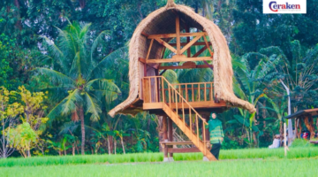 Konversi Lahan Pertanian Sebuah Keniscayaan, Ini Gagasan Rohmi Firin untuk Ketahanan Pangan NTB