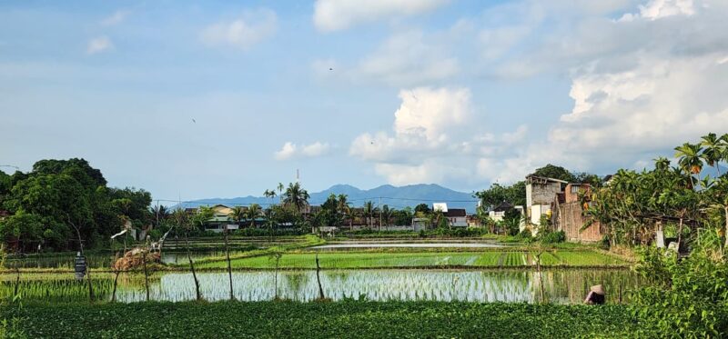 Strategi pembiayaan ini dijalankan dengan prinsip kehati-hatian, fleksibilitas, kedisiplinan, serta tetap berada dalam batas risiko yang terkelola
