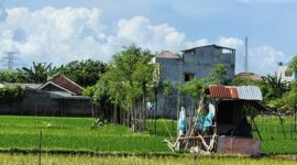 Engkau boleh mengingat, tetapi tak lagi berharap. Engkau boleh menyimpan, tetapi tak lagi menunggu (Foto: Aks)