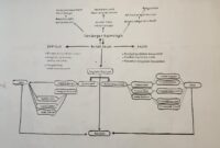 Belian menawarkan cara pandang holistik yang kini kembali dicari dunia (Foto: aks)