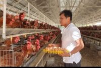 Peternakan bukan lagi sektor tradisional, melainkan dapat dipresentasikan sebagai “bio-industry and food technology innovation hub” (Foto: ist)