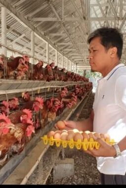 berita-rekomendasi-foto