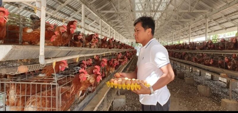 Peternakan bukan lagi sektor tradisional, melainkan dapat dipresentasikan sebagai “bio-industry and food technology innovation hub” (Foto: ist)