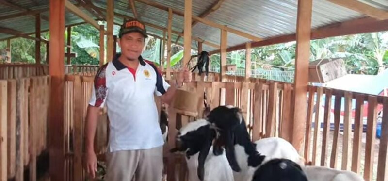 Racikan ultra mineral di kandang kambing mungkin tampak sepele. Namun justru dari praktik-praktik konkret semacam inilah visi besar diuji (Foto: ist)