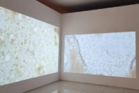 Sebagai karya video dua kanal beresolusi 1080p, Simfoni Kecil menempatkan dirinya di antara seni dan riset (Foto: aks)