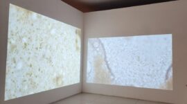 Sebagai karya video dua kanal beresolusi 1080p, Simfoni Kecil menempatkan dirinya di antara seni dan riset (Foto: aks)