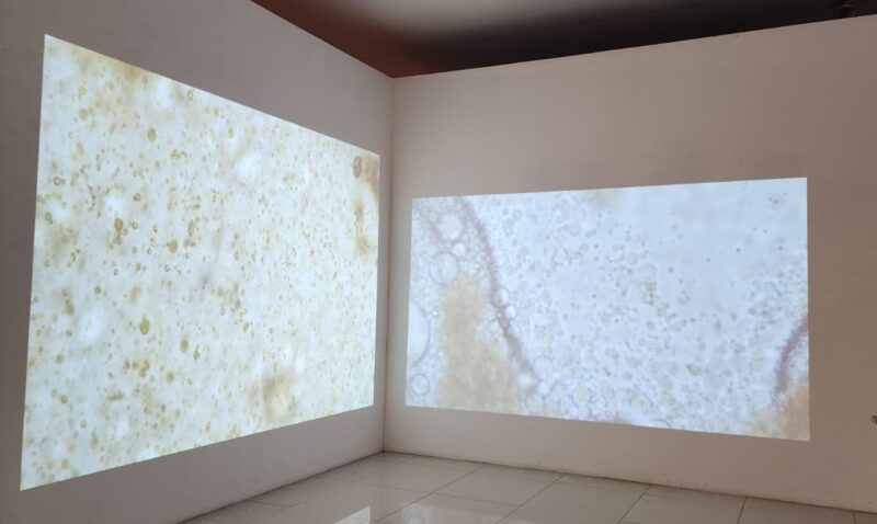 Sebagai karya video dua kanal beresolusi 1080p, Simfoni Kecil menempatkan dirinya di antara seni dan riset (Foto: aks)