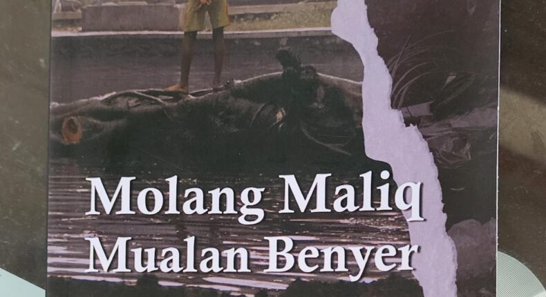 foto slider headline