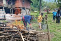 Pembakaran Lammang. Beras ketan dimasukkan ke dalam bambu yang sudah dipotong dalam ukuran tertentu. Lalu Attunu lammang atau membakar lammang hingga matang (Foto: rt / ceraken, id)