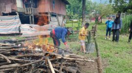 Pembakaran Lammang. Beras ketan dimasukkan ke dalam bambu yang sudah dipotong dalam ukuran tertentu. Lalu Attunu lammang atau membakar lammang hingga matang (Foto: rt / ceraken, id)