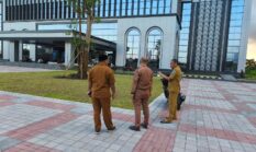 Pohon Pule dan Lahirnya Ruang Kerja Hijau di Bale Mentaram