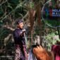 Mualan Benyer memegang peranan penting dalam kehidupan budaya masyarakat Desa Telagawaru (foto: ist   / ceraken.id)