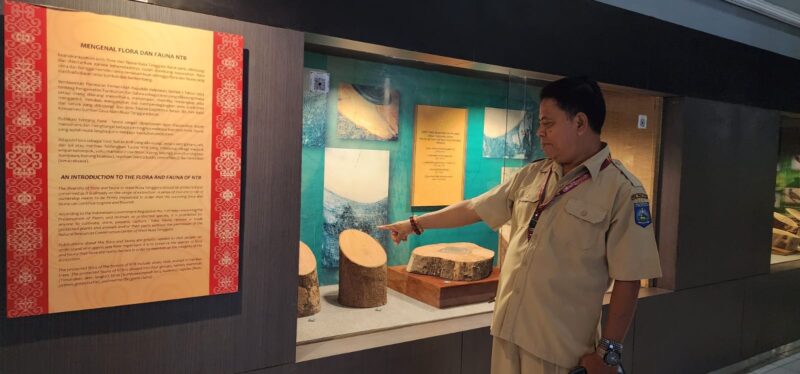 Hubertus Selasa. Baginya, setiap koleksi memiliki tugas yang jauh melampaui fungsi pameran (foto: aks / ceraken.id)