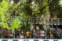 Lomba kicau burung pleci ada di tengah masyarakat (foto: ss / ceraken.id)