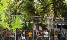 Lomba Kicau Burung Pleci di Tepi Jalan Raya