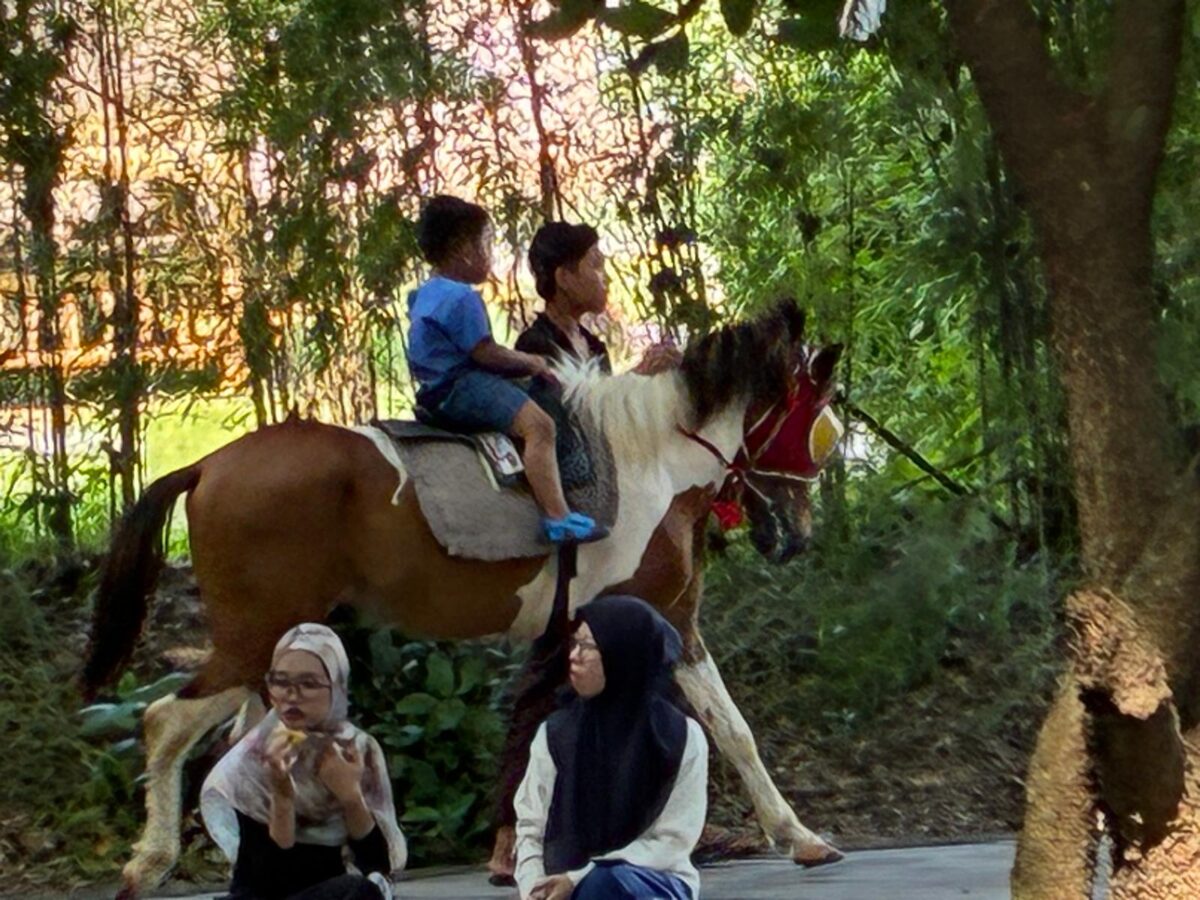 Kuda juga disewakan untuk anak-anak yang ingin naik (foto: ss / ceraken.id)