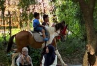 Kuda juga disewakan untuk anak-anak yang ingin naik (foto: ss / ceraken.id)