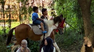 Kuda juga disewakan untuk anak-anak yang ingin naik (foto: ss / ceraken.id)