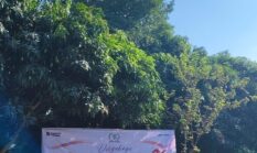 Merdeka Finansial, Menata Masa Pensiun Bersama Tring!